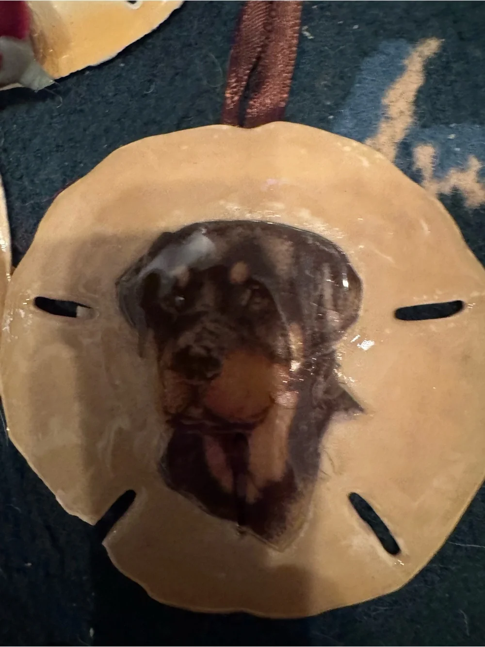 Handmade Tan real Sand Dollar Bird Perch with Pet Image Accent